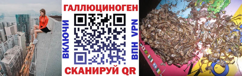 закладка Томилино Псилоцибиновые грибы мухоморы